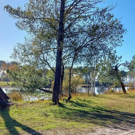 Semesterbostad 3 Bedroom Stunning In Hourtin